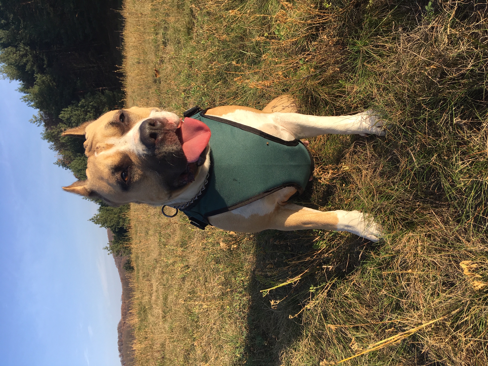 Matra Hills – photo 1